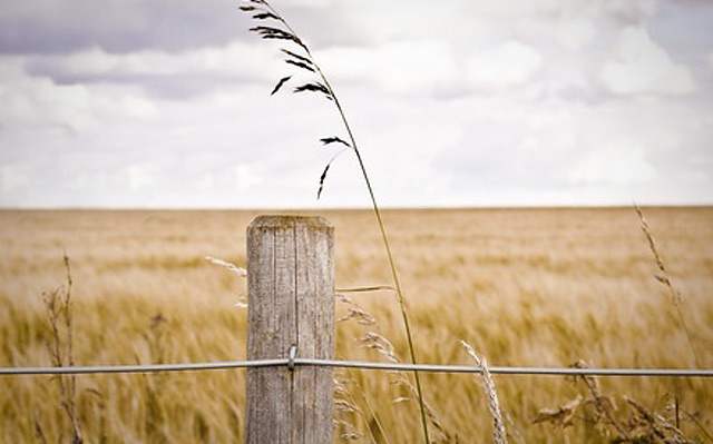 Wire Agricultural Fencing Scotland